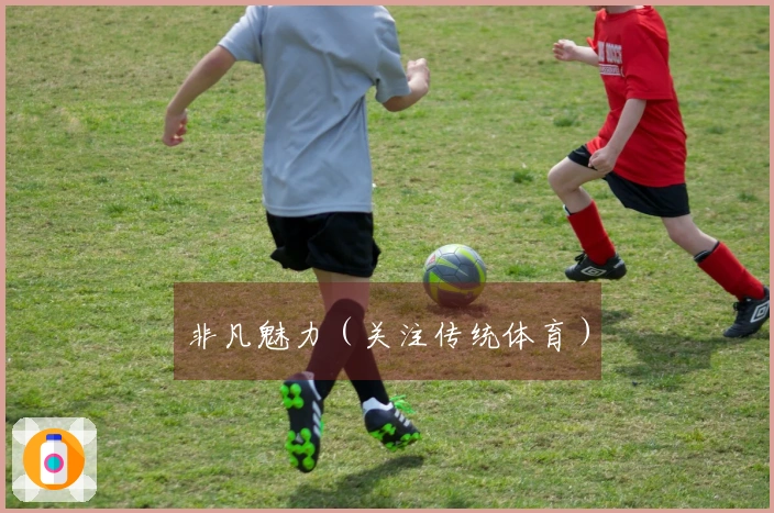 非凡魅力（关注传统体育）