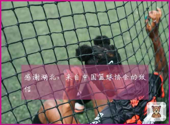 感谢湖北，来自中国篮球协会的致信