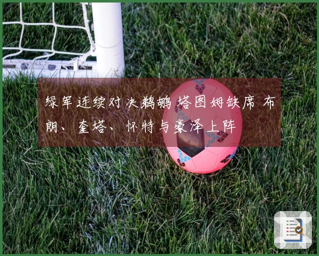 绿军连续对决鹈鹕 塔图姆缺席 布朗、奎塔、怀特与豪泽上阵